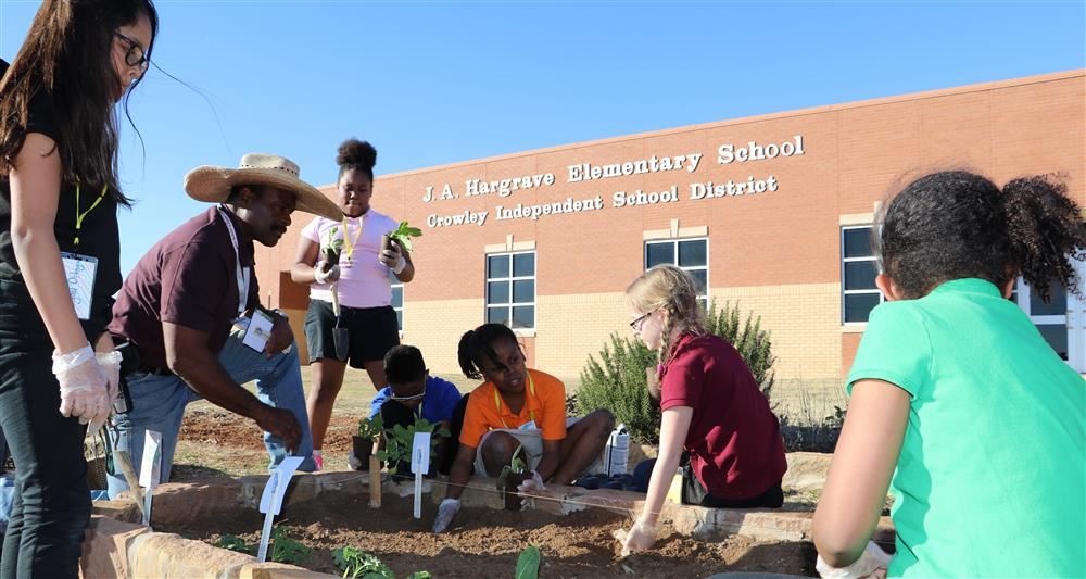  Kids planting trees